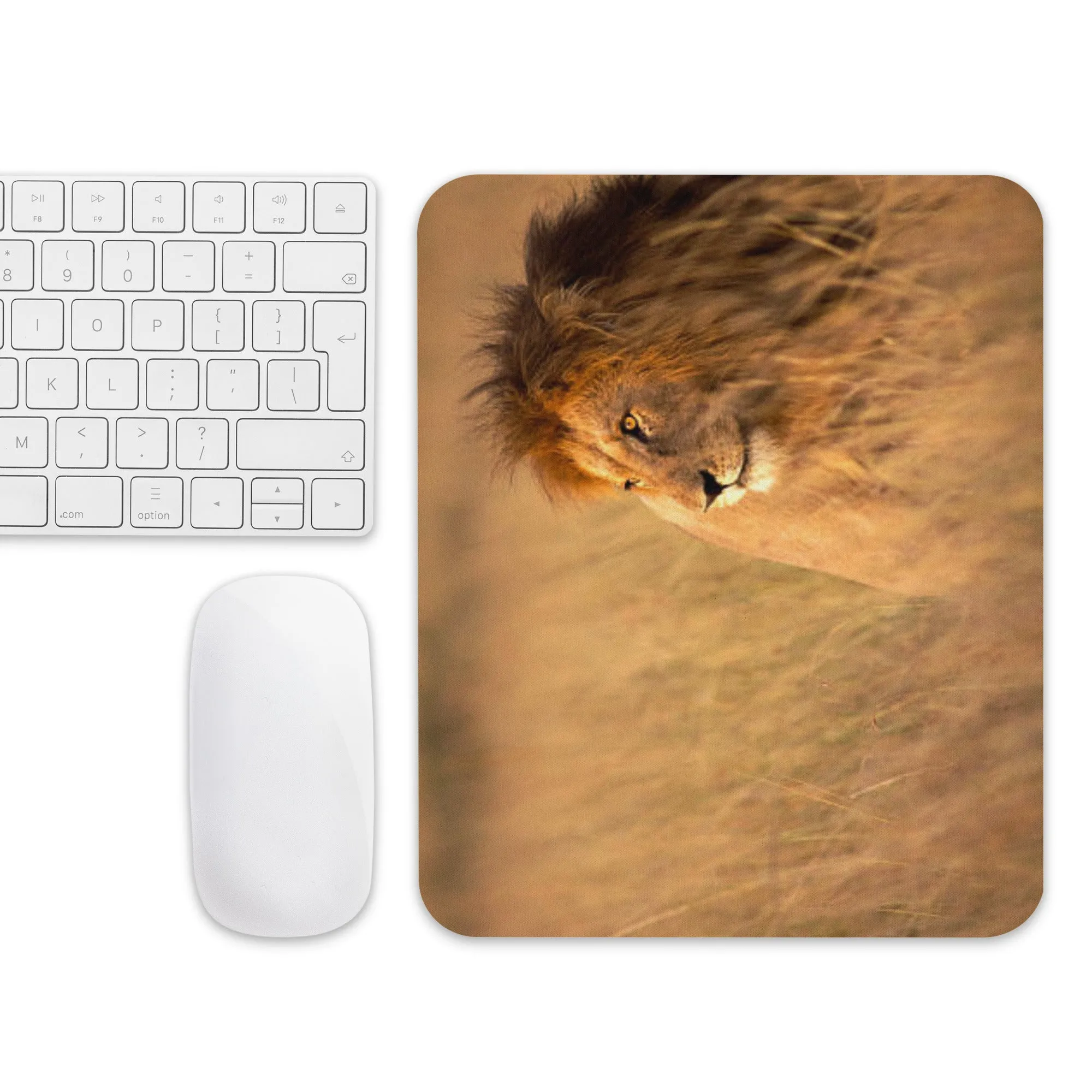 Padded Non-Slip Mousepad - Safari Lion