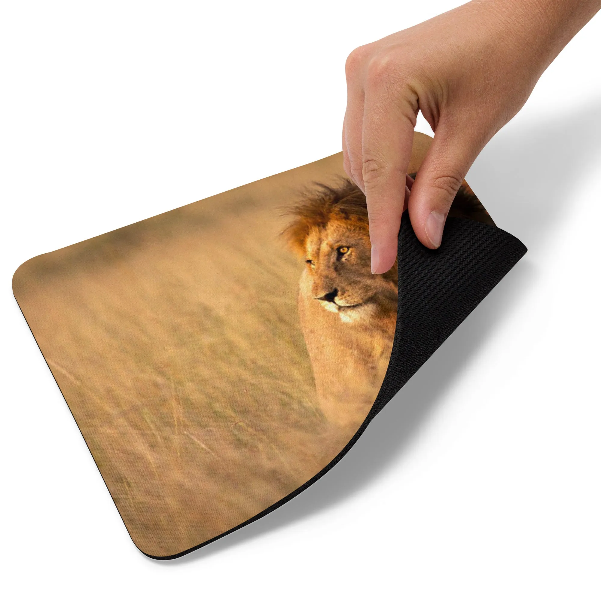 Padded Non-Slip Mousepad - Safari Lion