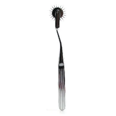 The Original Wartenberg Metal Pinwheel